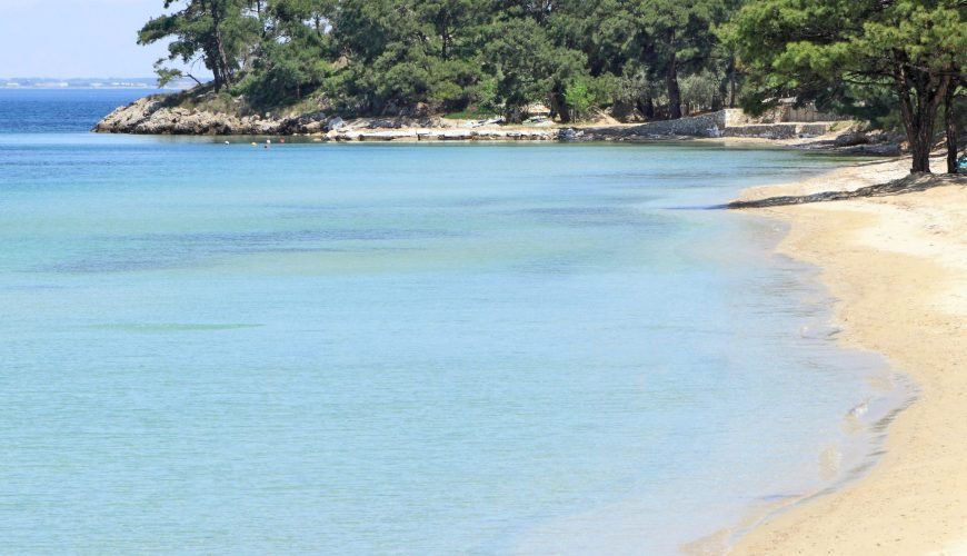 Pachis Thassos