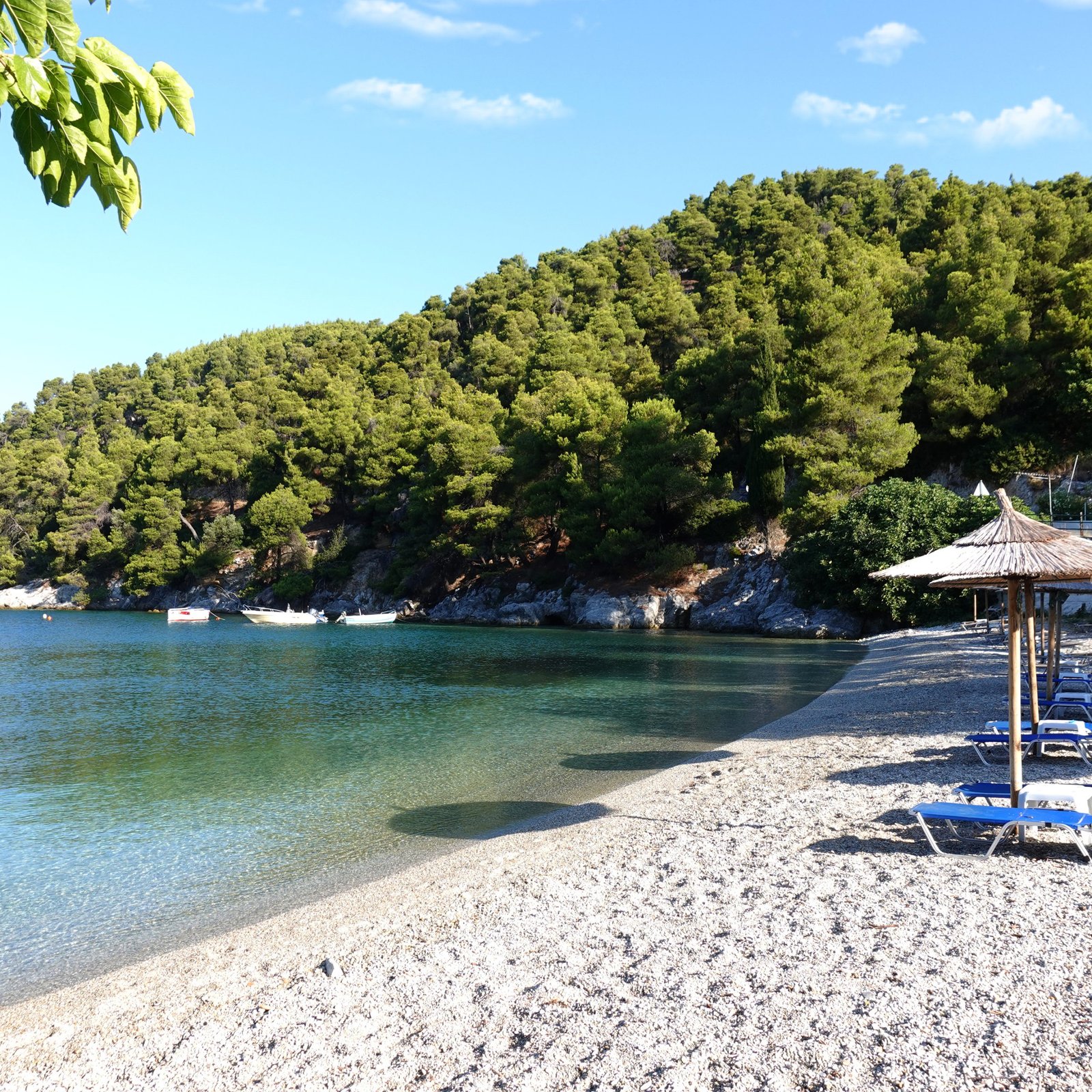 Agnontas Beach Skopelos