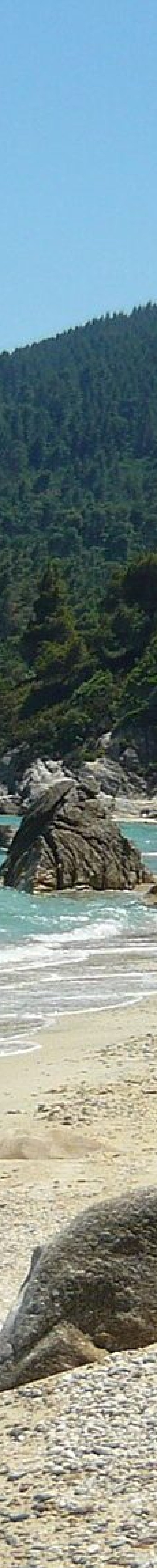 Fava Beach Halkidiki
