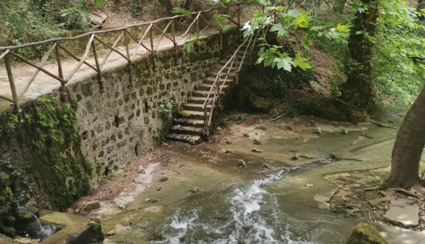 Rodini Park