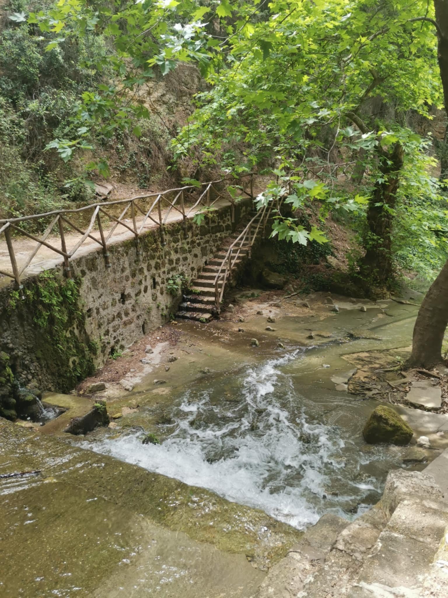 Rodini Park